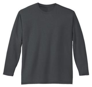 DT105 - L/S Perfect Weight Tee